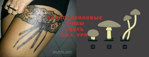 первитин Козельск