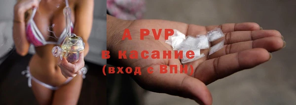 трава Кодинск