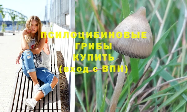 mix Нестеровская