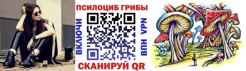 Галлюциногенные грибы Psilocybine cubensis Краснознаменск