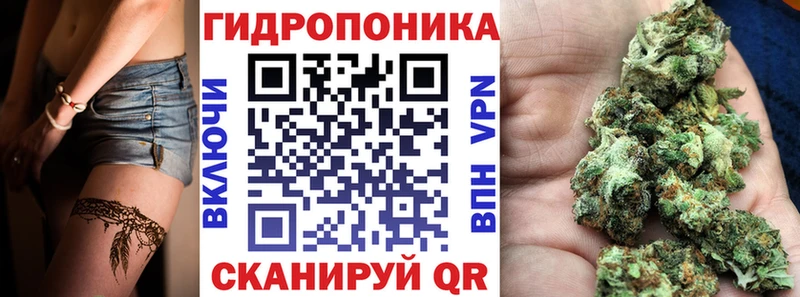 kraken маркетплейс  Краснознаменск  Канабис VHQ 